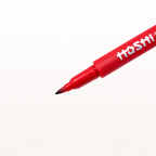 THIENLONG Hoshi Dual-Tip Mapping Pen