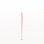 Lip Brush